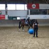 Ponyralley 079